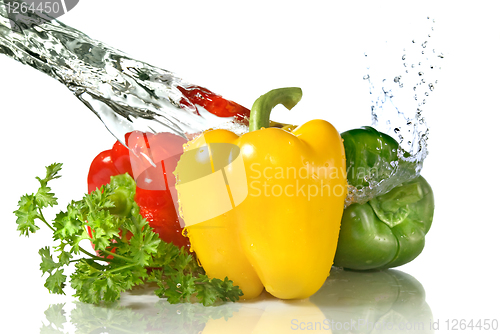 Image of red, yellow, green pepper and parsley with water splash isolated