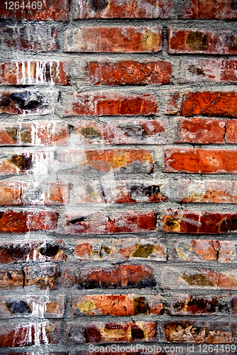 Image of Grunge old bricks wall texture