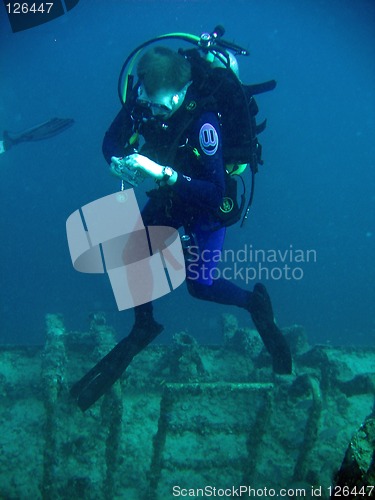Image of Scuba Diver checking instruments