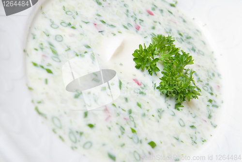 Image of cold soup with choped vegetables and meat on the plate