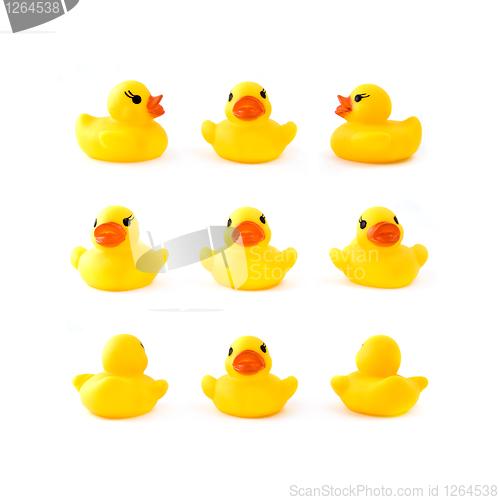 Image of rubber yellow duck isolated on white