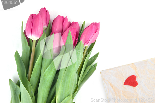 Image of close-up pink tulips with gift isolated on white