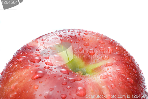 Image of red apple with water drops isolated on white