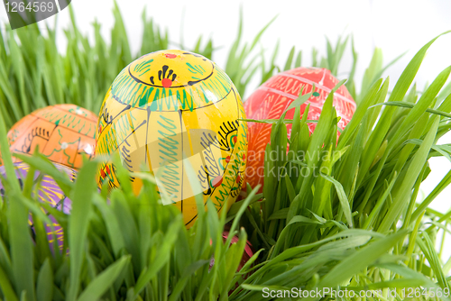 Image of color easter eggs in nest from green grass on white