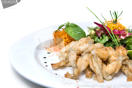 Image of fried frogs legs on the plate isolated on white