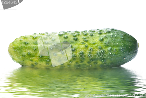 Image of green cucumber with water drops isolated on white