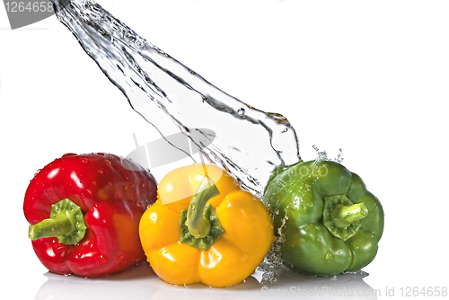 Image of red, yellow and green pepper with water splash isolated on white