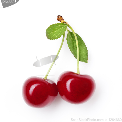 Image of Red cherry with leaves on white