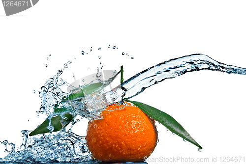 Image of Tangerine with green leaves and water splash isolated on white