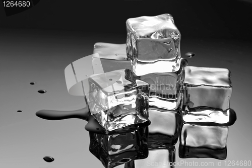 Image of ice cubes with water drops