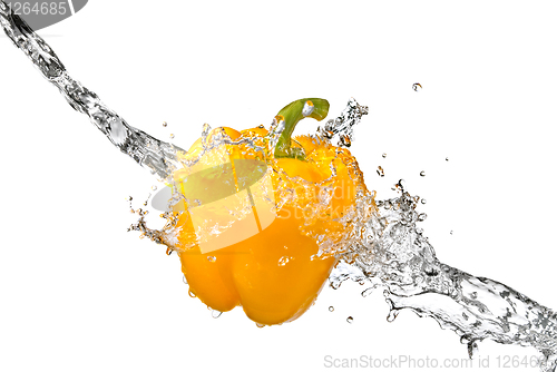 Image of fresh water splash on yellow sweet pepper isolated on white