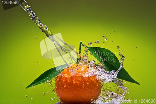 Image of Tangerine with green leaves and water splash on green background