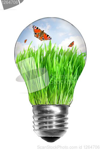 Image of Natural energy concept. Light bulb with summer meadow and butter