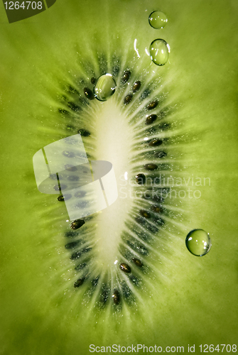 Image of Macro of kiwi with water drops background