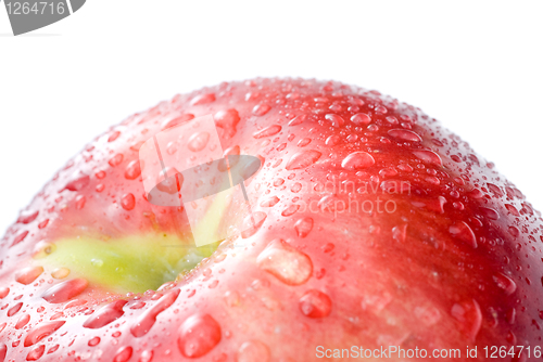 Image of red apple with water drops isolated on white