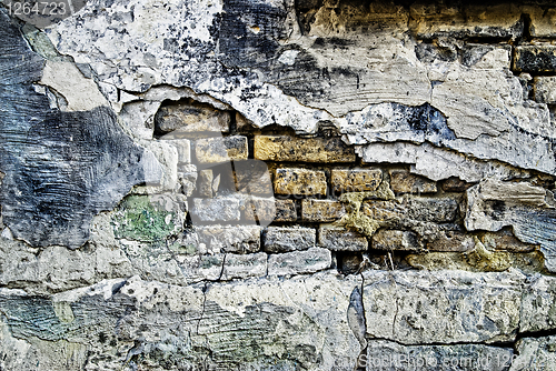 Image of Grunge old bricks wall texture