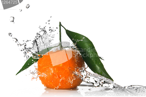 Image of Tangerine with water splash isolated on white 