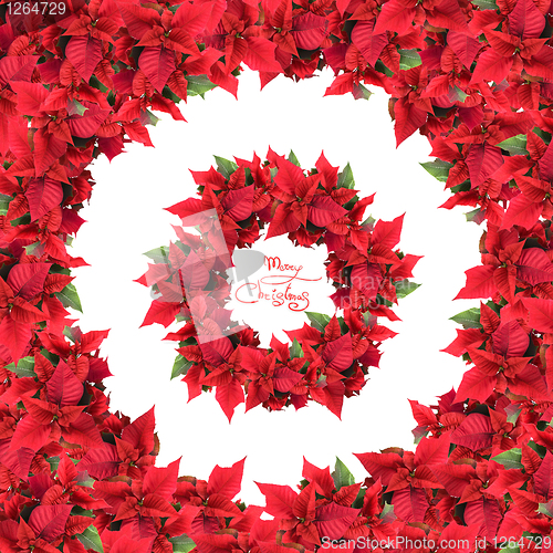 Image of round frame with wreath from christmas flowers isolated on white