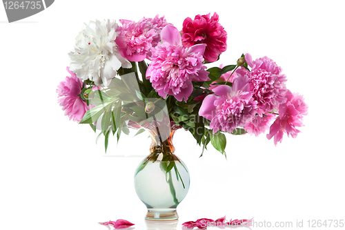 Image of boquet of peony in the vase isolated on white