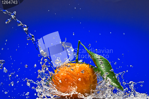 Image of Tangerine with green leaves and water splash on blue background
