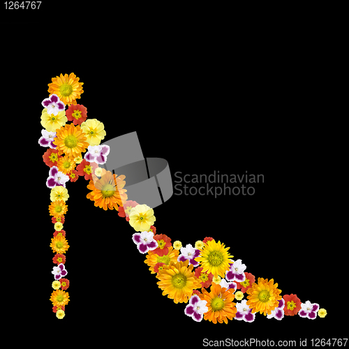 Image of decorative womans shoe from color flowers