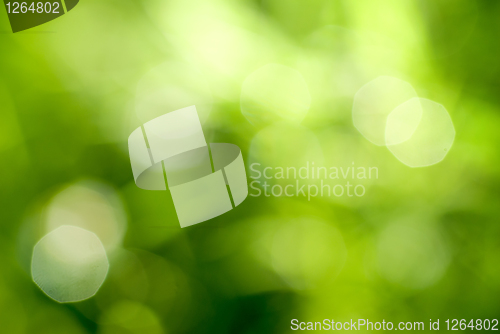 Image of abstract green natural backgound