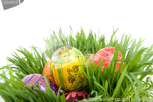 Image of color easter eggs in nest from green grass on white