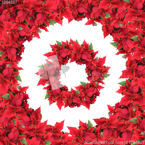 Image of round frame with wreath from christmas flowers isolated on white