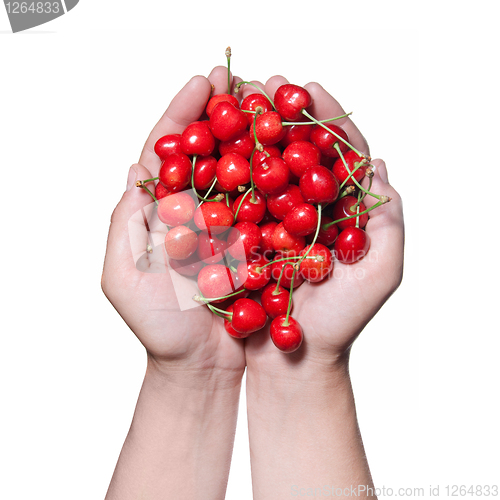 Image of hands holding red cherry isolated on white