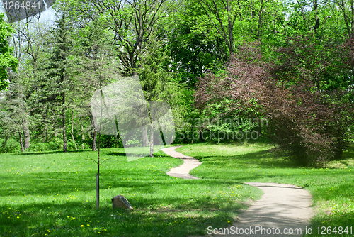 Image of green park in spring