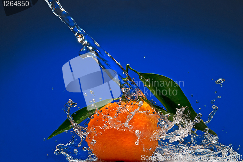 Image of Tangerine with green leaves and water splash on blue background