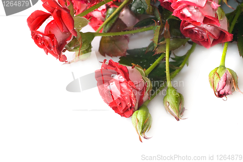 Image of red rose bouquet isolated on white