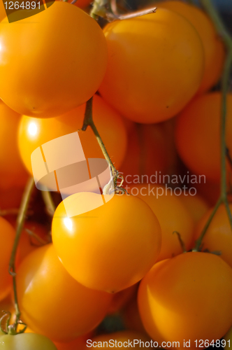 Image of branch of yellow cherry tomato