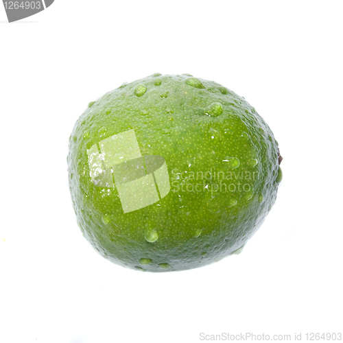 Image of green lime with water drops isolated on white