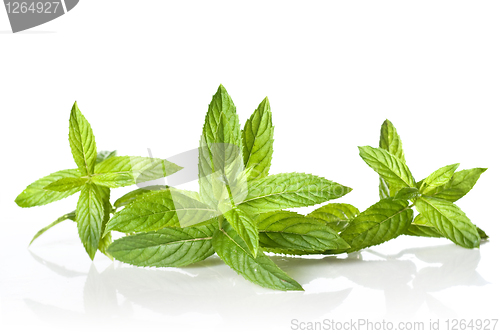 Image of green mint isolated on white