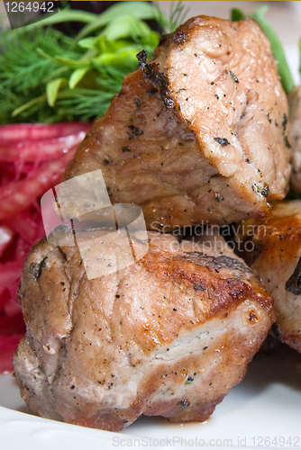 Image of fried meat with potherbs on the plate