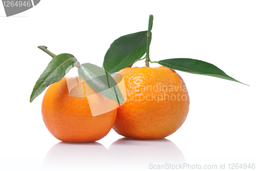 Image of Tangerines with green leaves isolated on white