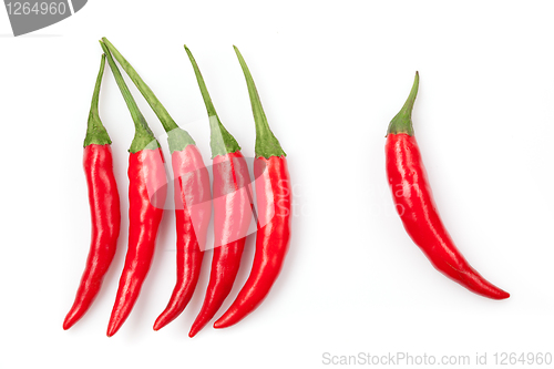 Image of chili pepper isolated on white