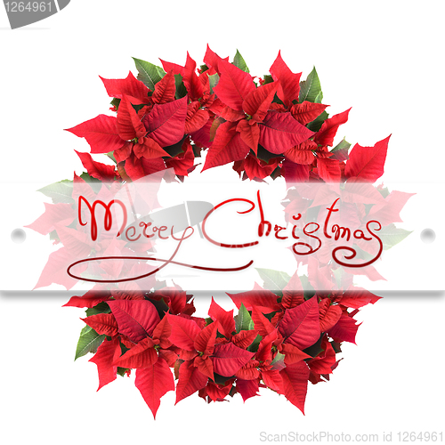 Image of christmas wreath from poinsettia