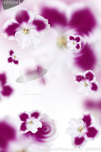 Image of pink flowers background