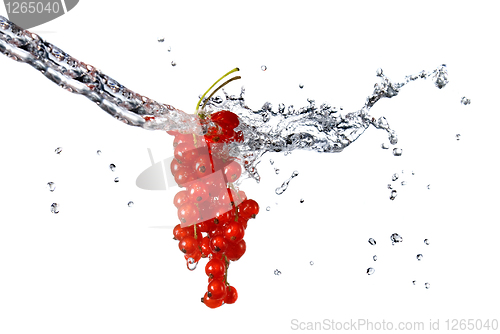 Image of redcurrant and water drops isolated on white