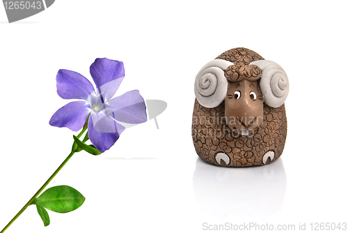 Image of funny lamb looking at violet spring flower