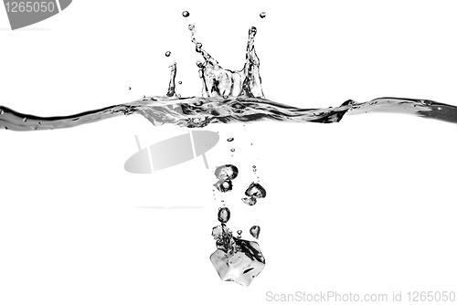 Image of ice cube dropped into water with splash isolated on white