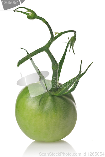 Image of green tomato isolated on white