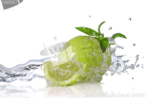 Image of Water splash on lime with mint isolated on white