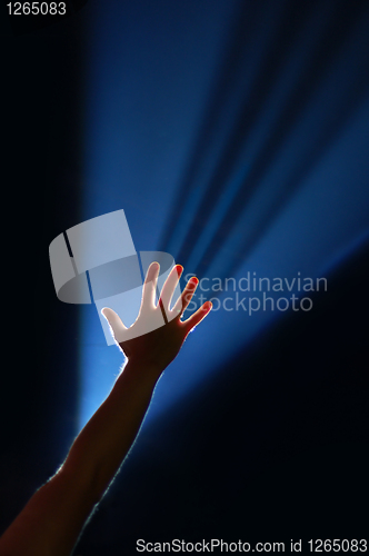 Image of arm in light