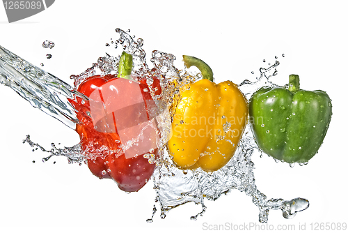 Image of red, yellow and green pepper with water splash isolated on white