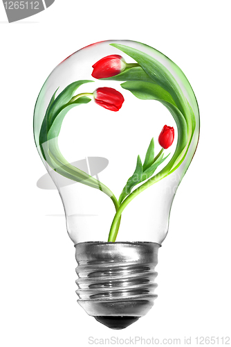 Image of Natural energy concept. Light bulb with tulips with shape of hea