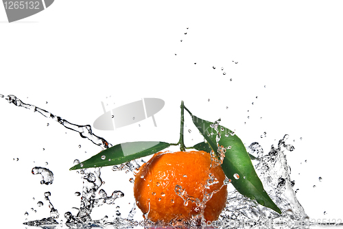 Image of Tangerine with green leaves and water splash isolated on white