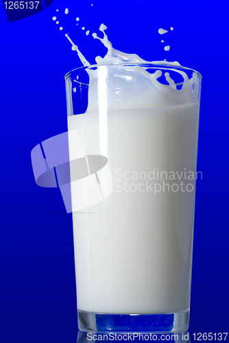 Image of Milk splash isolated on blue